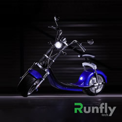 RUNSCOOTERS HARLEY CITYCOCOHLS03-5