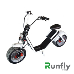 RUNSCOOTERS EEC COCO HARLEY CITYCOCOHLS25-B CE MODEL
