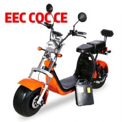 EEC COC Harley citycoco motorcycleCP-2 (EEC COC)
