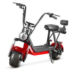 MINI harley citycoco scooter mini-3MINI-03-7