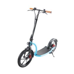 Electric bicycleVEL001