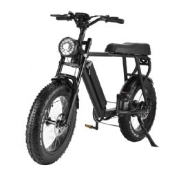Electric BicycleZXC-1