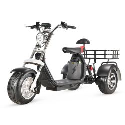 Custom electric carsThree-wheeled X11 big basket