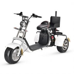 Electric Golf CartGGF-1