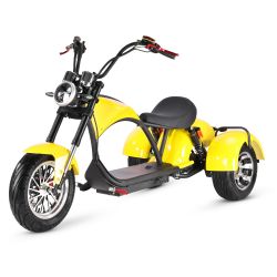Custom electric carsM3 tricycle